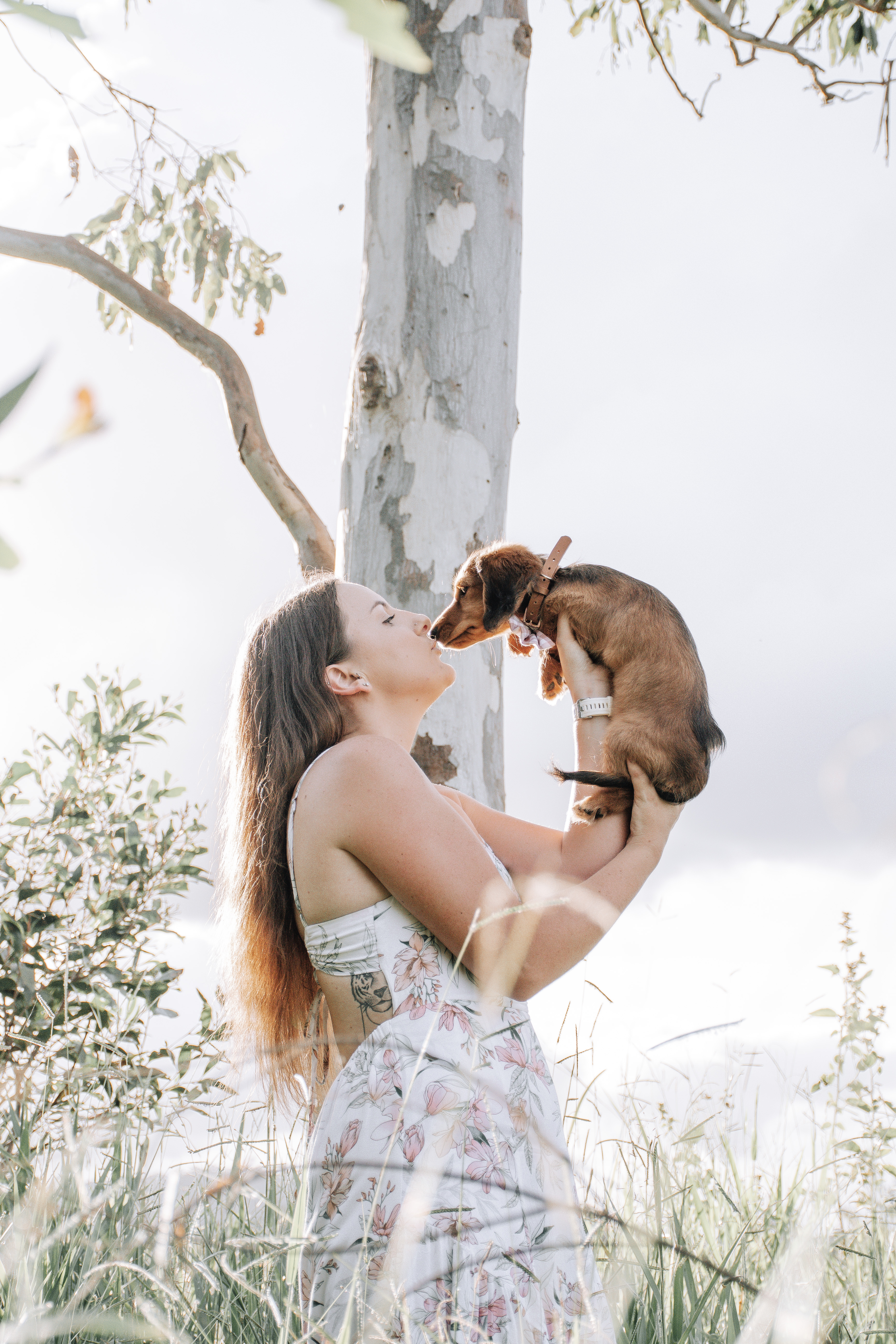 teghan, peanut, toby & maple image